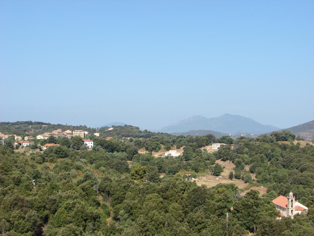 Le Gite Radica Eccica-Suarella (Corsica) Quarto foto